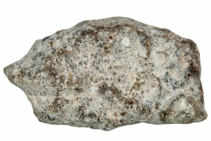 Lunar Meteorite ( g) - NWA #304694